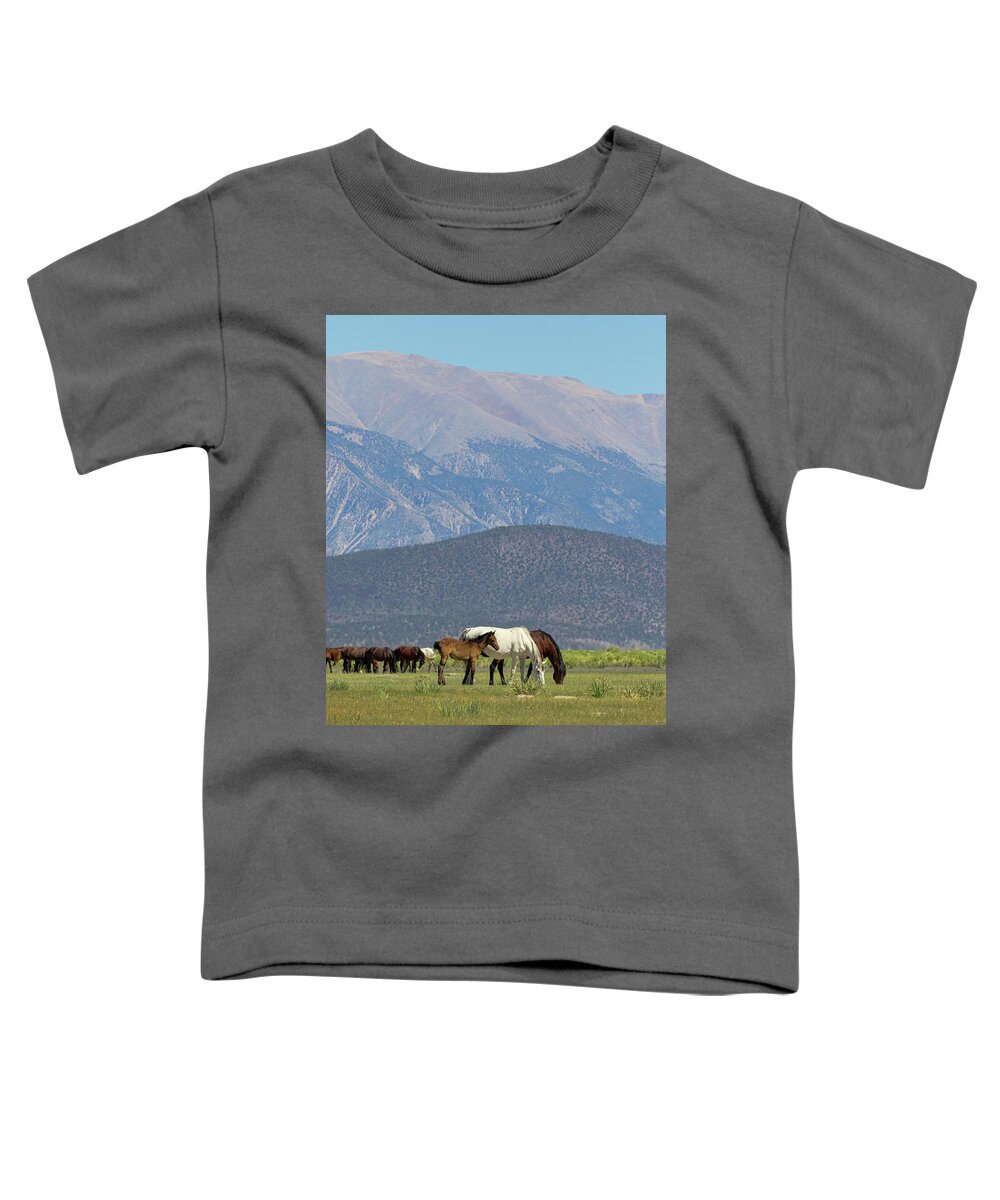 Eastern Sierra Toddler T-Shirt featuring the photograph Tranquility in the Meadow II by Cheryl Strahl