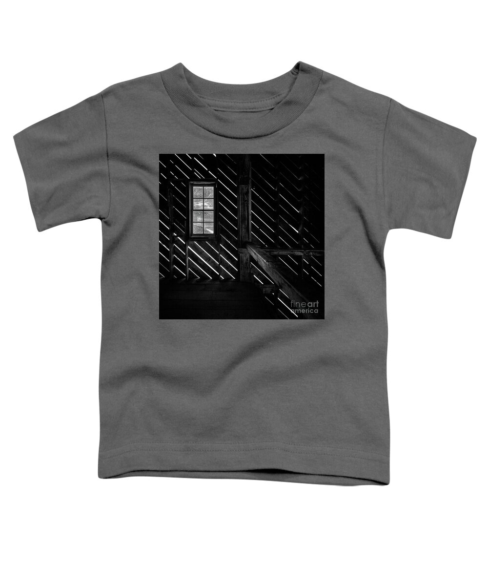 Colorado Toddler T-Shirt featuring the photograph Trapped In The Frisco Mill by Doug Sturgess