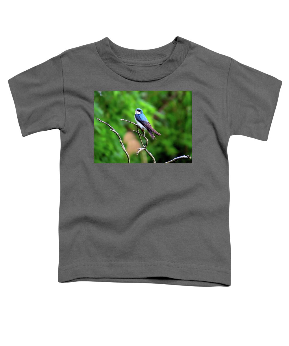 Birds Toddler T-Shirt featuring the photograph Tree Swallow at Palmyra Nature Cove by Linda Stern