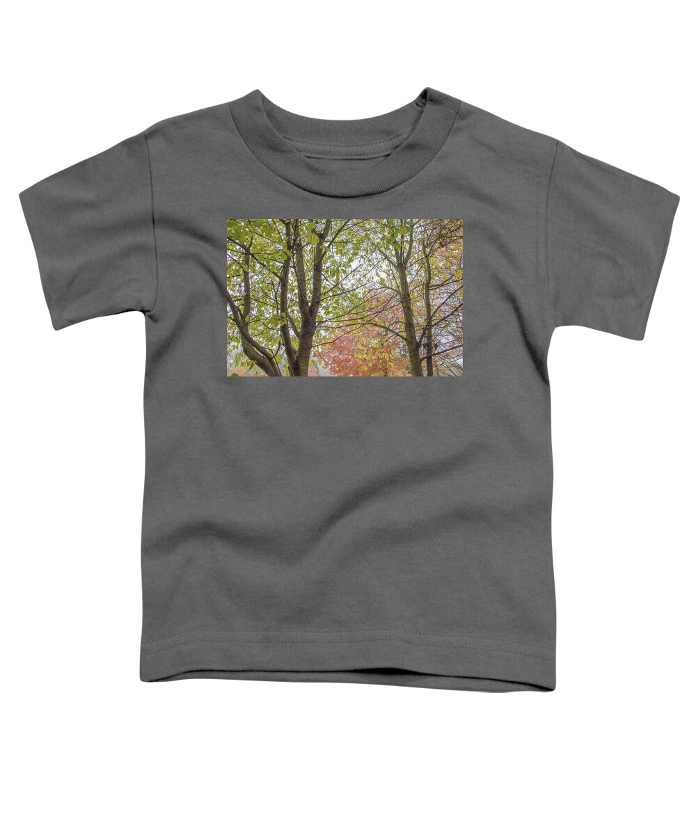 Trent Park Toddler T-Shirt featuring the photograph Trent Park Trees Fall 5 by Edmund Peston