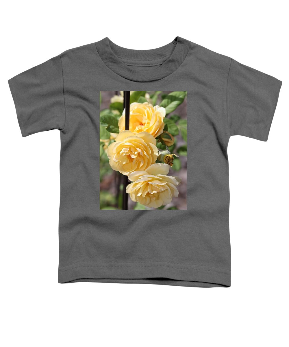 Rose Toddler T-Shirt featuring the photograph Triple Yellow Roses 2 by Mingming Jiang