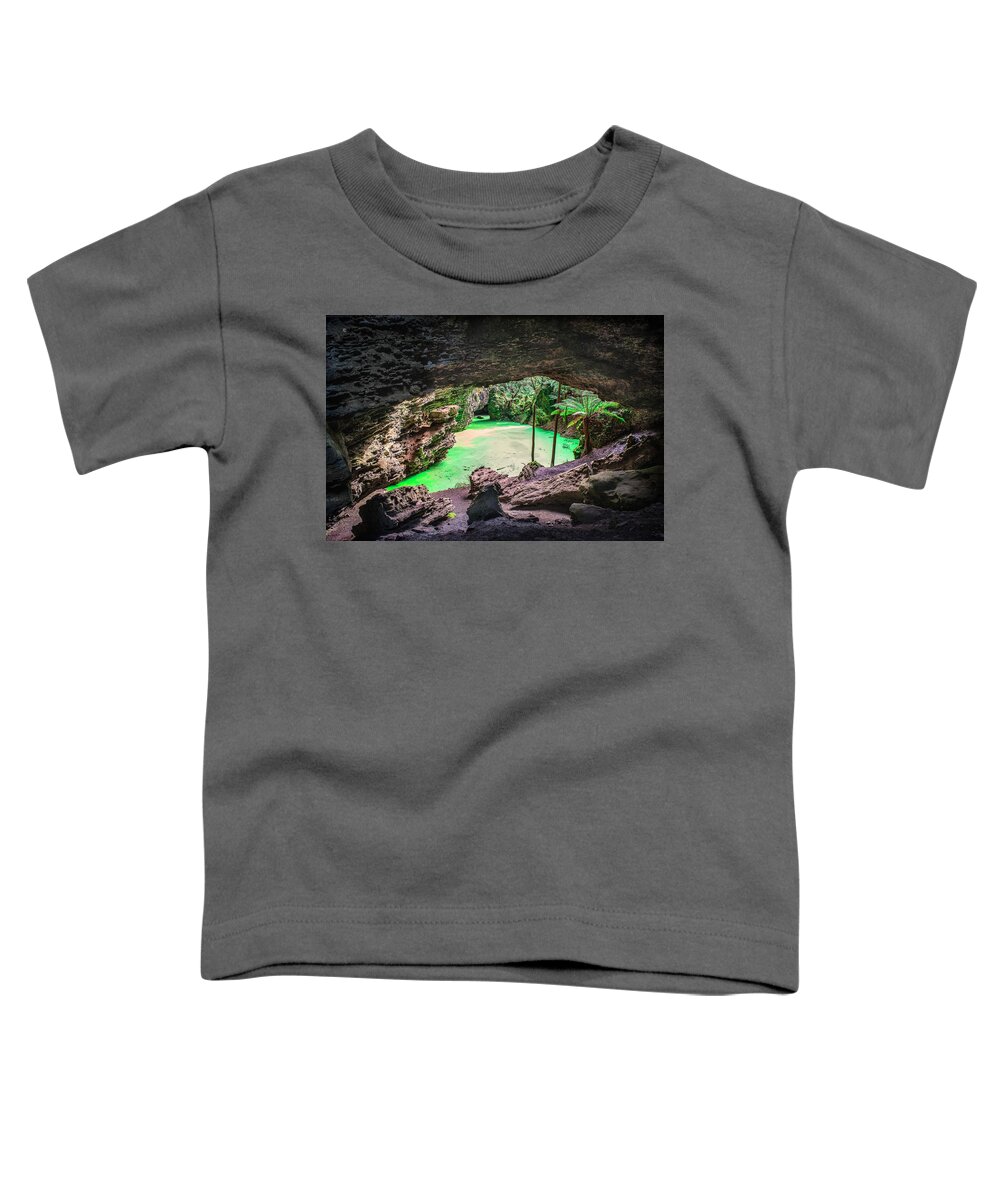 Rainforest Toddler T-Shirt featuring the photograph Trowutta Arch by Frank Lee