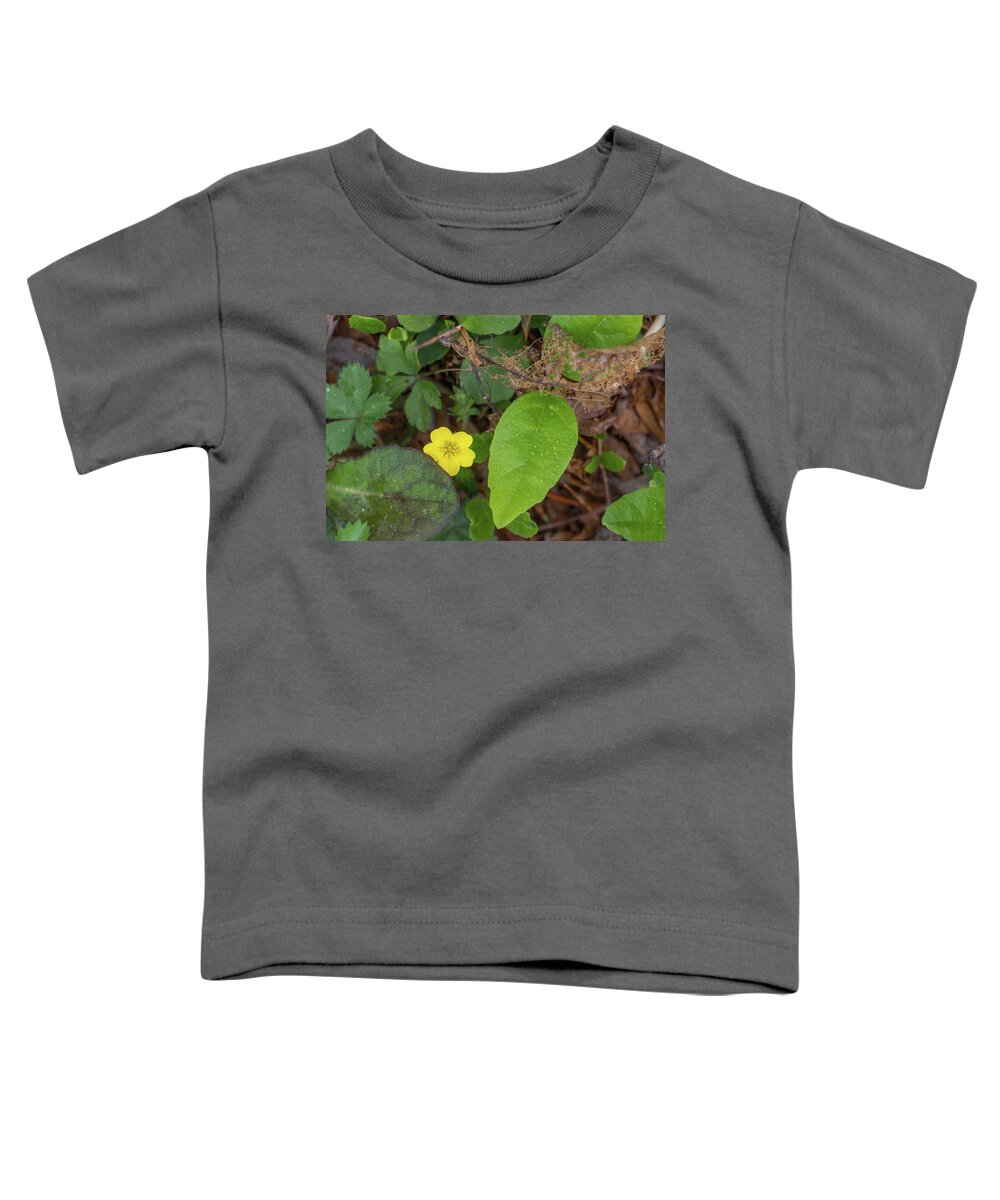 Amicalola Falls Toddler T-Shirt featuring the photograph Tucked Away by David R Robinson