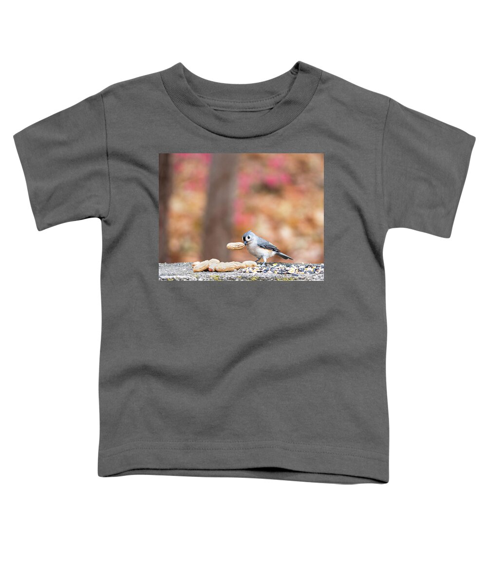 Little Gray Bird Toddler T-Shirt featuring the photograph Tufted Titmouse with Peanut Cropped by Ilene Hoffman