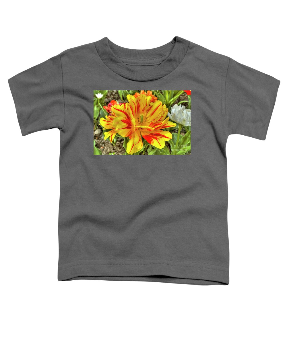 Botanical Toddler T-Shirt featuring the photograph Tulip Monsella by Paolo Signorini