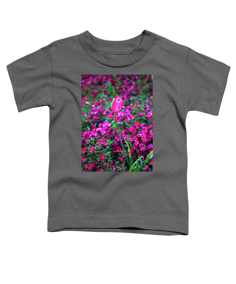 Pink Tulip Flowers Toddler T-Shirt featuring the photograph Tulip Tower by Az Jackson