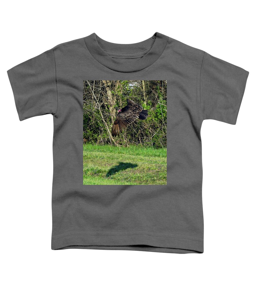 Turkey Vulture Toddler T-Shirt featuring the photograph Turkey Vulture In Flight by Flees Photos