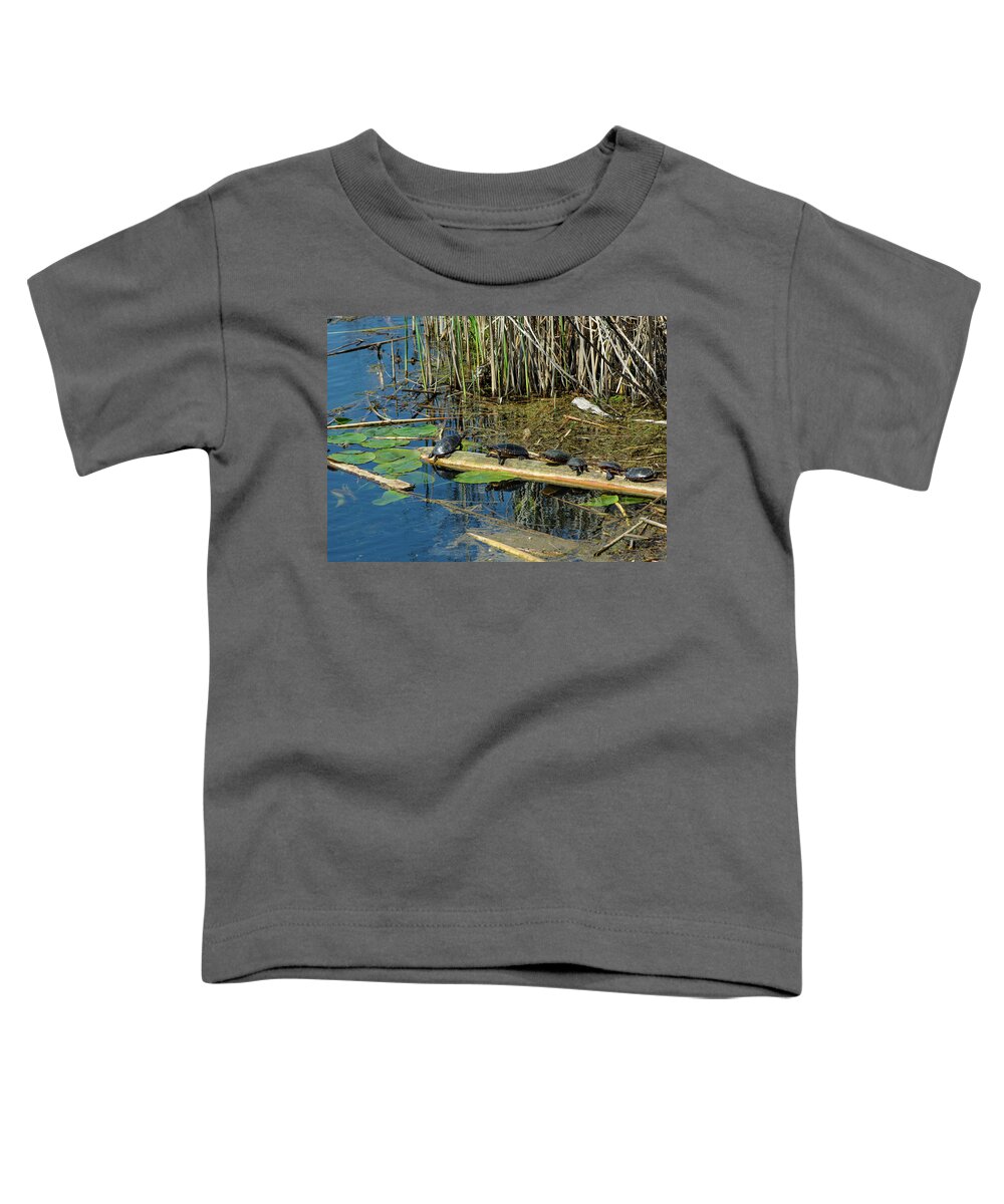 Tiny Marsh. Toddler T-Shirt featuring the photograph Turtles in a row by James Canning