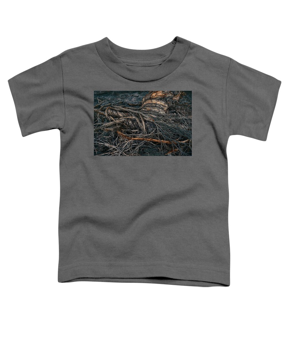 Australia Toddler T-Shirt featuring the photograph Twisted by Jay Heifetz