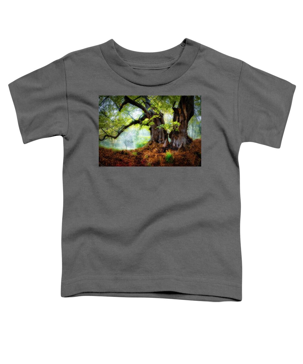 Trees Toddler T-Shirt featuring the photograph Two beech trees by Remigiusz MARCZAK