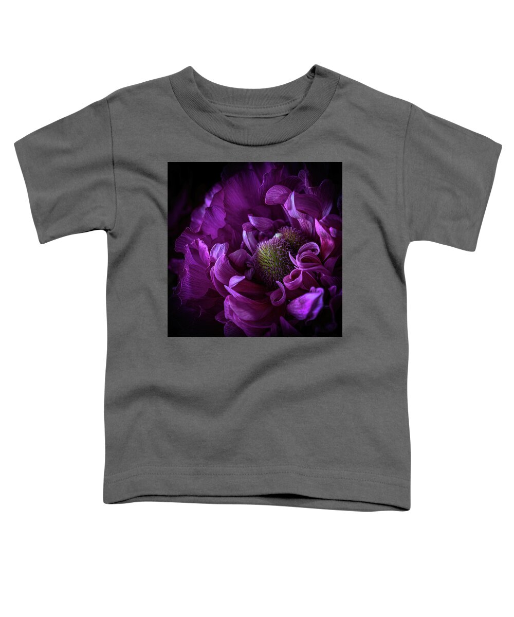 Fuchsia Toddler T-Shirt featuring the photograph Fuchsia Ranunculus Flower Macro Art Photo Decorative Print by Lily Malor