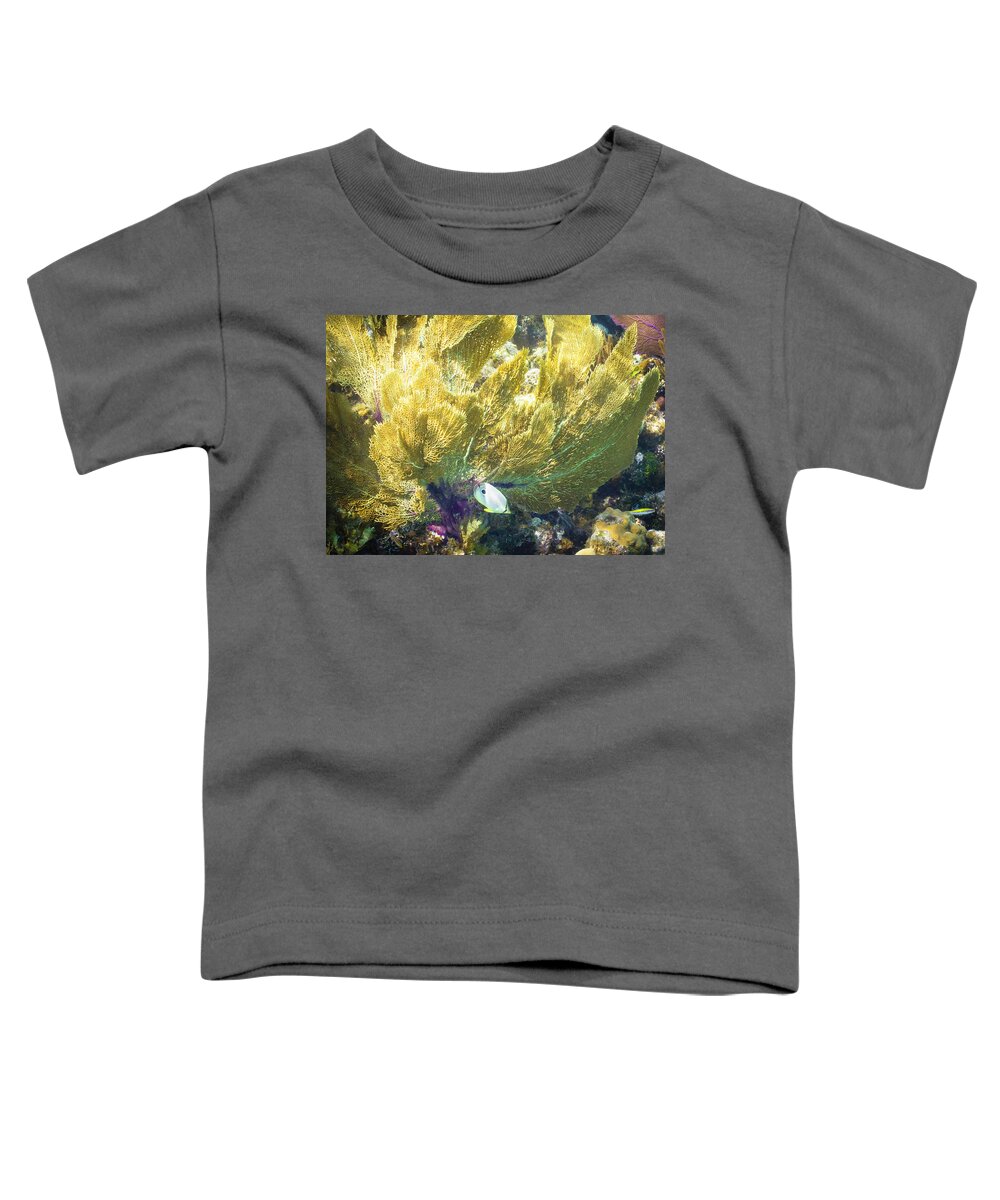 Ocean Toddler T-Shirt featuring the photograph Undercover by Lynne Browne