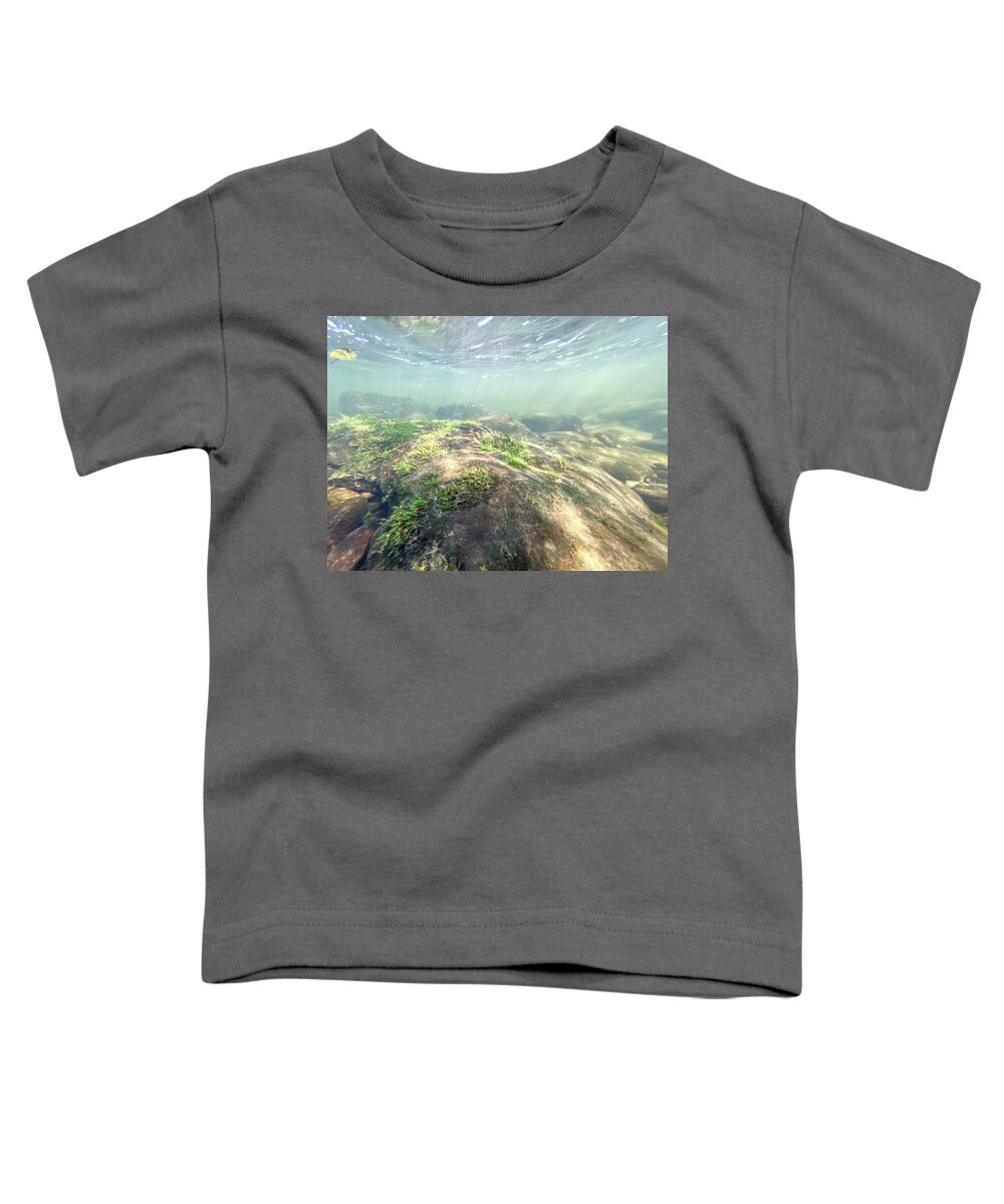 Algae Toddler T-Shirt featuring the photograph Underwater Landscape with Algae - Delaware River by Amelia Pearn