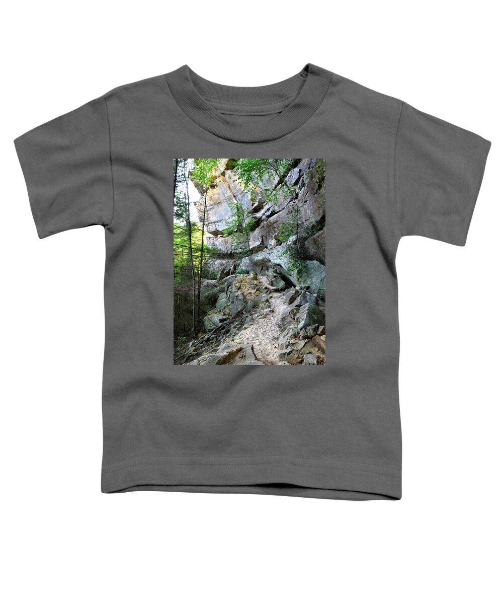Pogue Creek Canyon Toddler T-Shirt featuring the photograph Unnamed Rock Face 7 by Phil Perkins