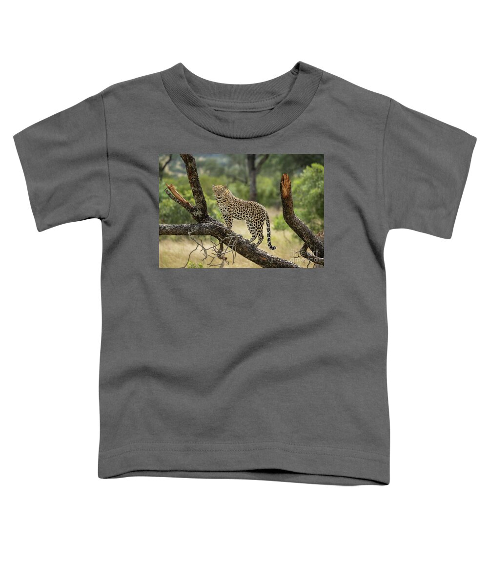 Wildlife Toddler T-Shirt featuring the photograph Upwardly Mobile - South Africa by Sandra Bronstein