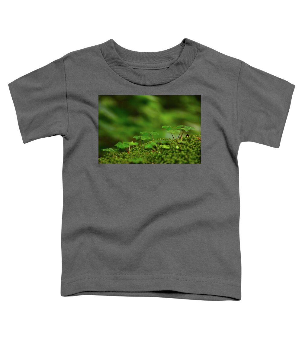 Vermont Spring Green Toddler T-Shirt featuring the photograph Vermont Spring Green by Raymond Salani III
