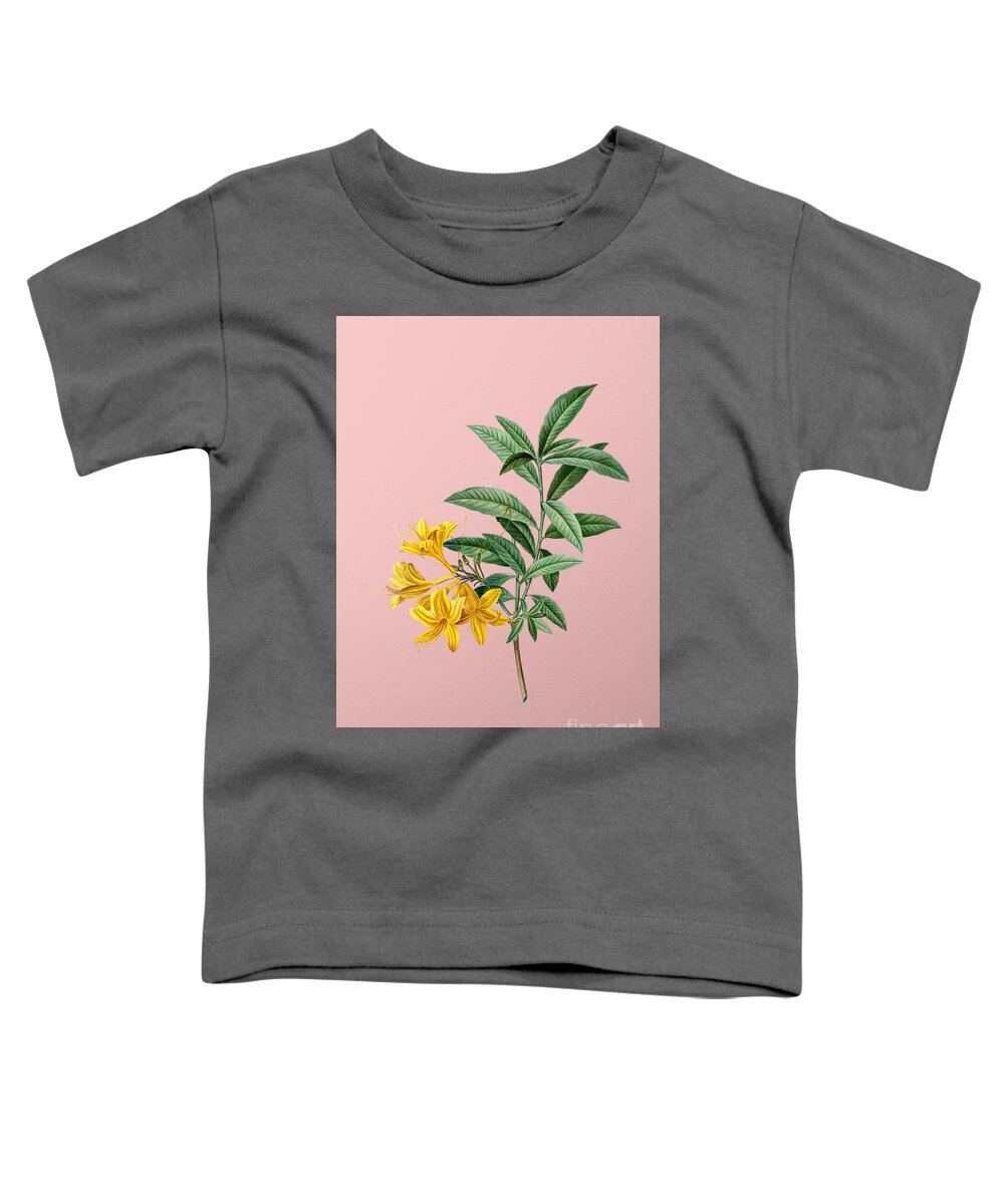 Holyrockarts Toddler T-Shirt featuring the mixed media Vintage Yellow Azalea Botanical Illustration on Pink by Holy Rock Design