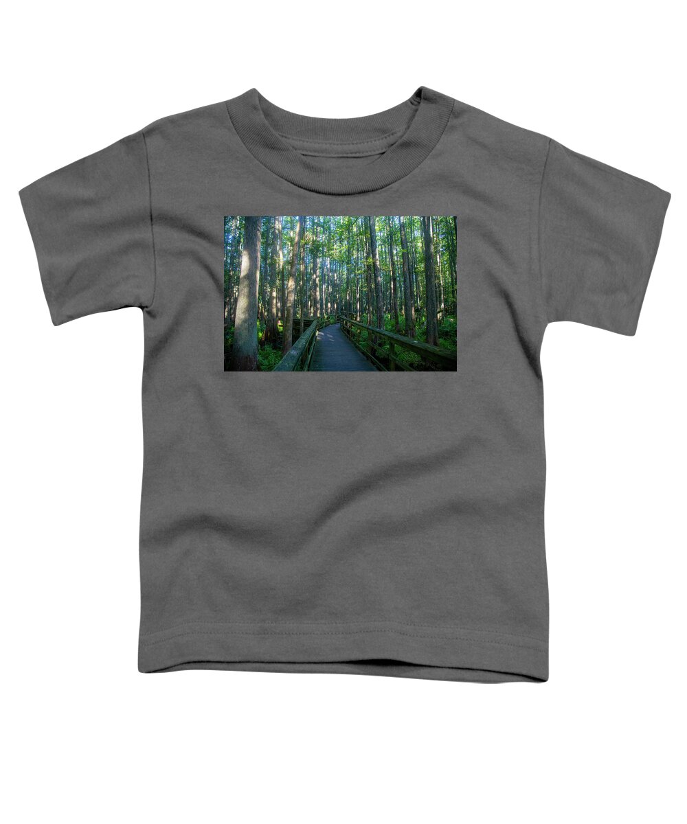Trees Toddler T-Shirt featuring the photograph Walkway through trees by Dart Humeston
