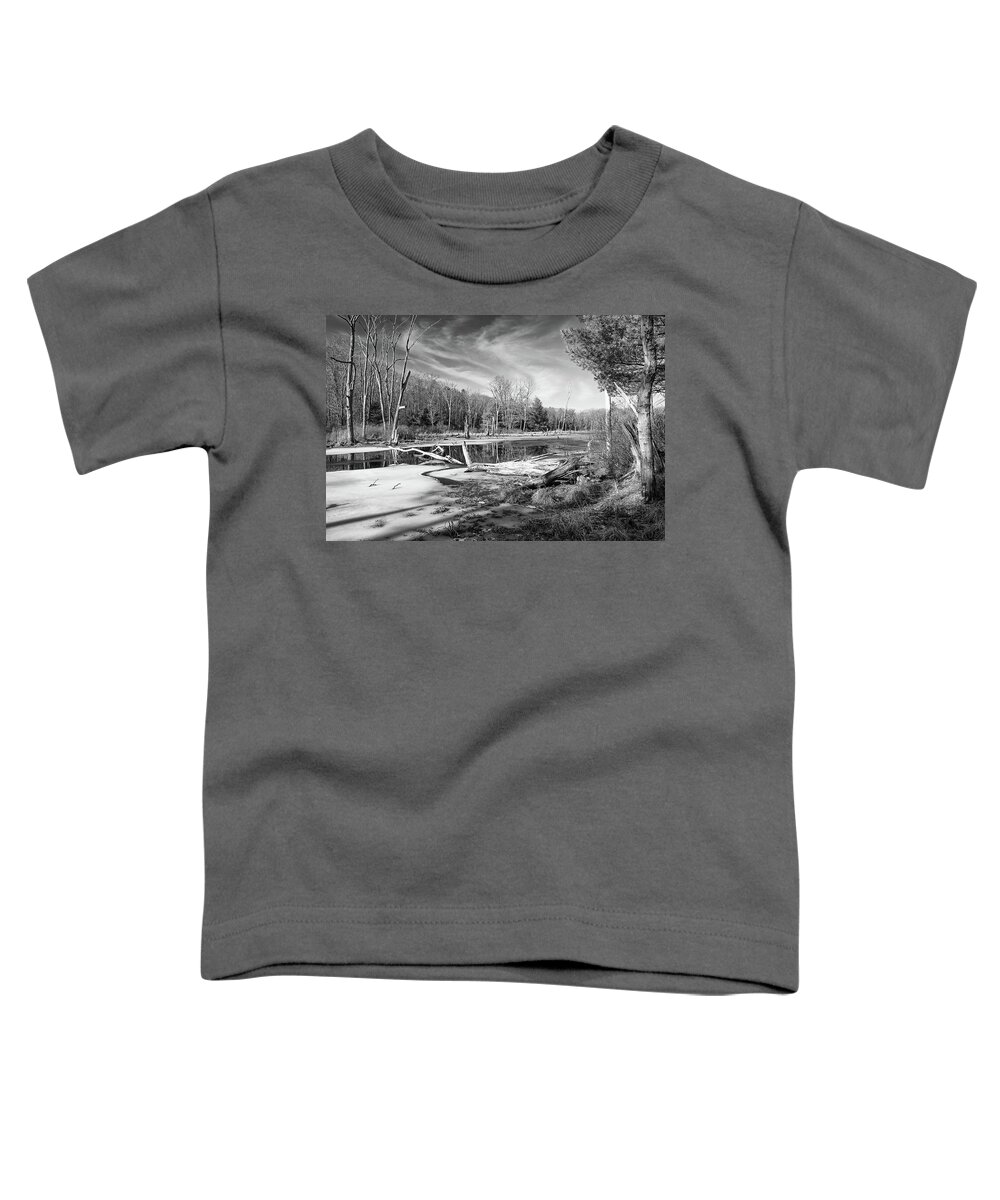 Marsh Toddler T-Shirt featuring the photograph Ward Reservation Melt by Steven Nelson