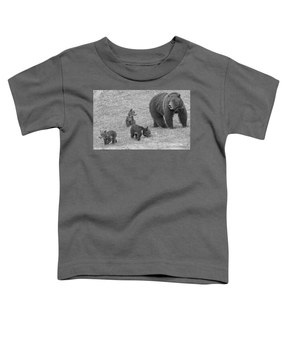 Grizzly Toddler T-Shirt featuring the photograph Watching Over The Grizzly Triplets Black And White by Adam Jewell