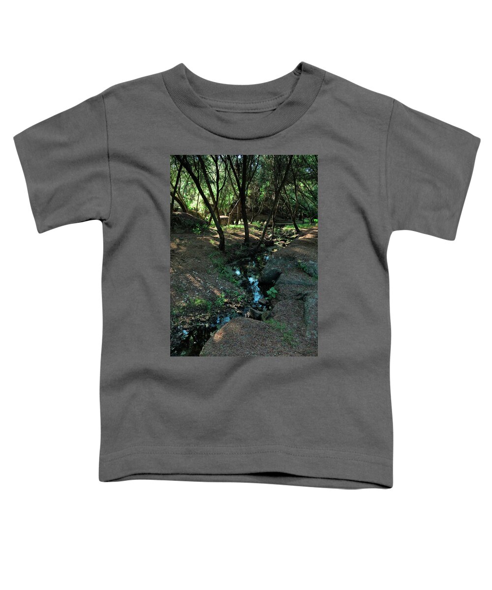 Forest Toddler T-Shirt featuring the photograph Water Line in the Forest by Angelo DeVal
