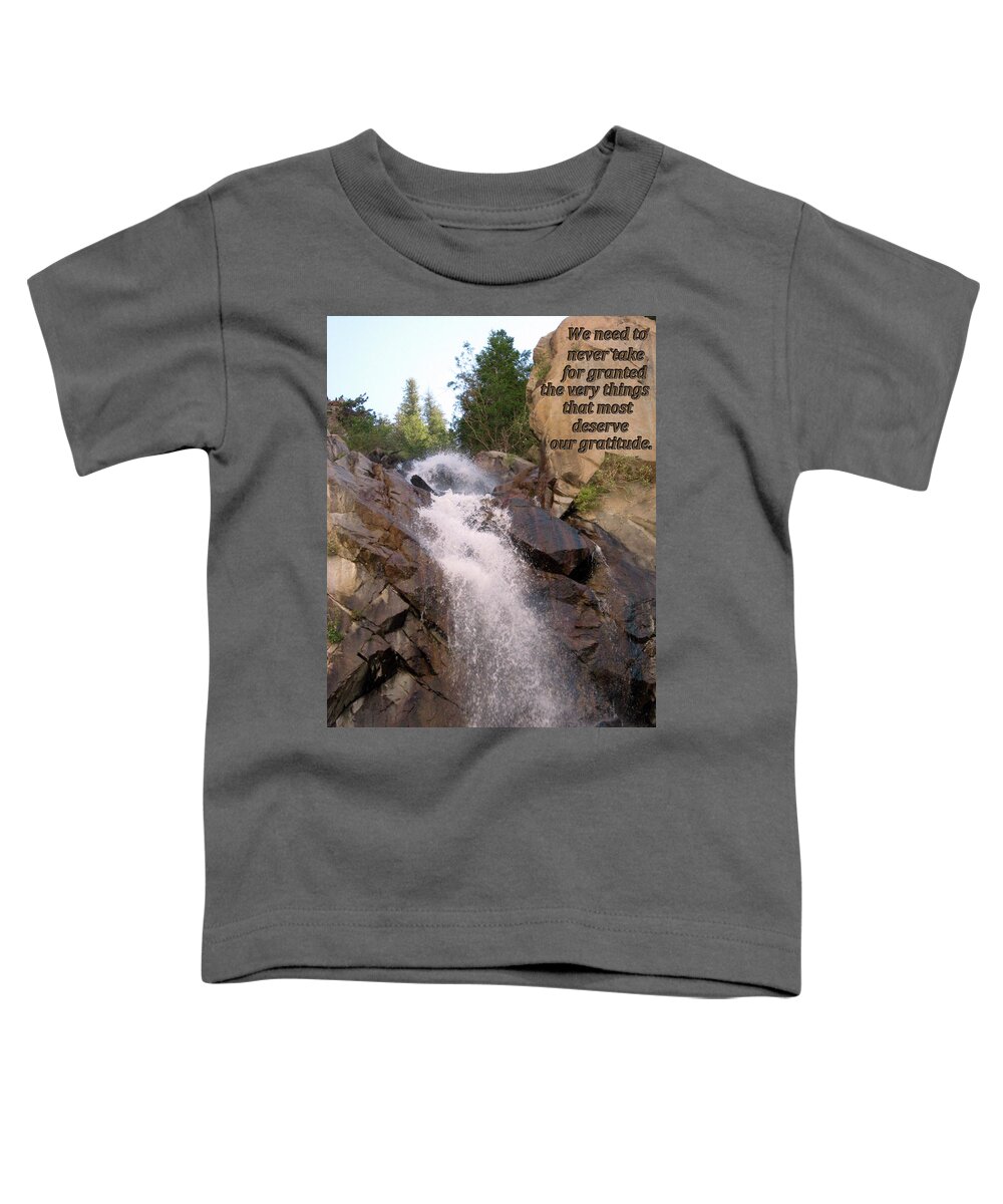 Gratitude Toddler T-Shirt featuring the digital art We Often Take for Granted by Julia L Wright