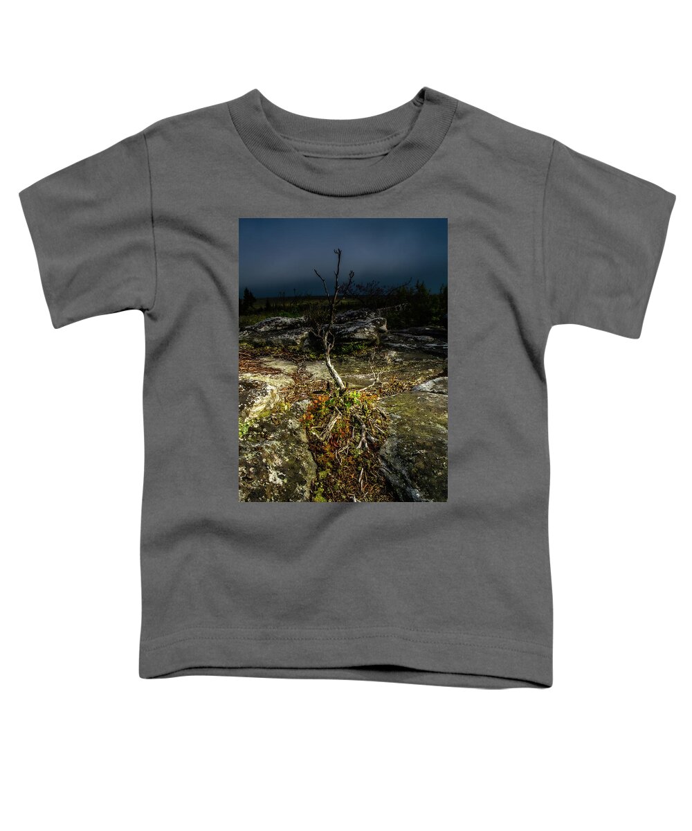 Landscape Toddler T-Shirt featuring the photograph Weathered by Jason Funk