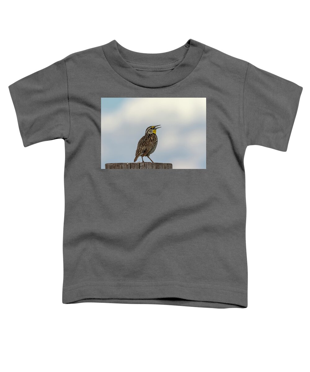 Western Meadowlark Toddler T-Shirt featuring the photograph Western Meadowlark 2014 by Thomas Young