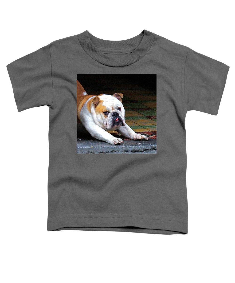 Dog Bulldog Funny Pose Toddler T-Shirt featuring the painting What's it to you by Dorsey Northrup