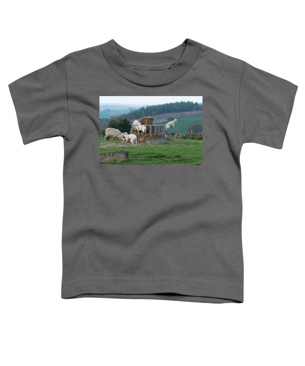 Animals Toddler T-Shirt featuring the photograph Wheeeeee I am Jumping by Dennis Dame