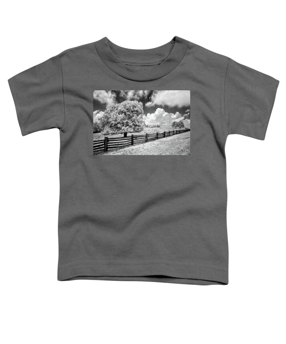 North Carolina Toddler T-Shirt featuring the photograph Where Horses Roam bw by Dan Carmichael