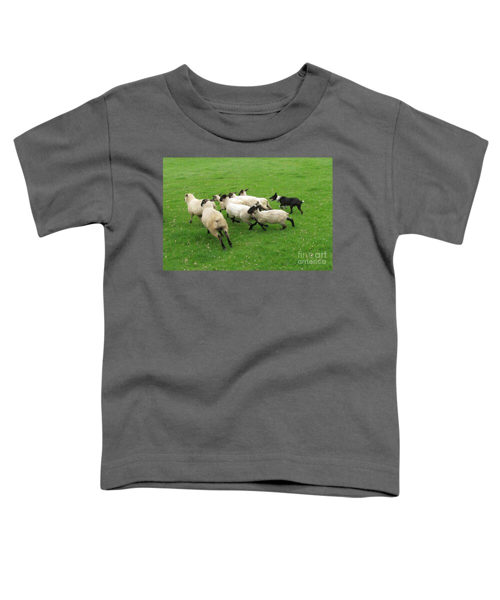 Canine Mammal Toddler T-Shirt featuring the photograph Where Shall We Go? by World Reflections By Sharon