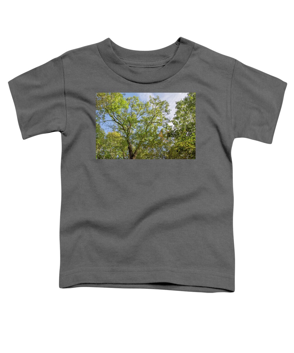 Whetstone Stray Toddler T-Shirt featuring the photograph Whetstone Stray Trees Fall 11 by Edmund Peston