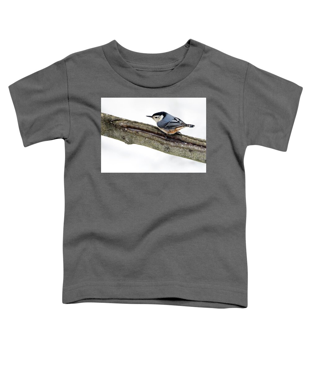 Woodpecker Toddler T-Shirt featuring the photograph White-breasted Nuthatch by Art Cole