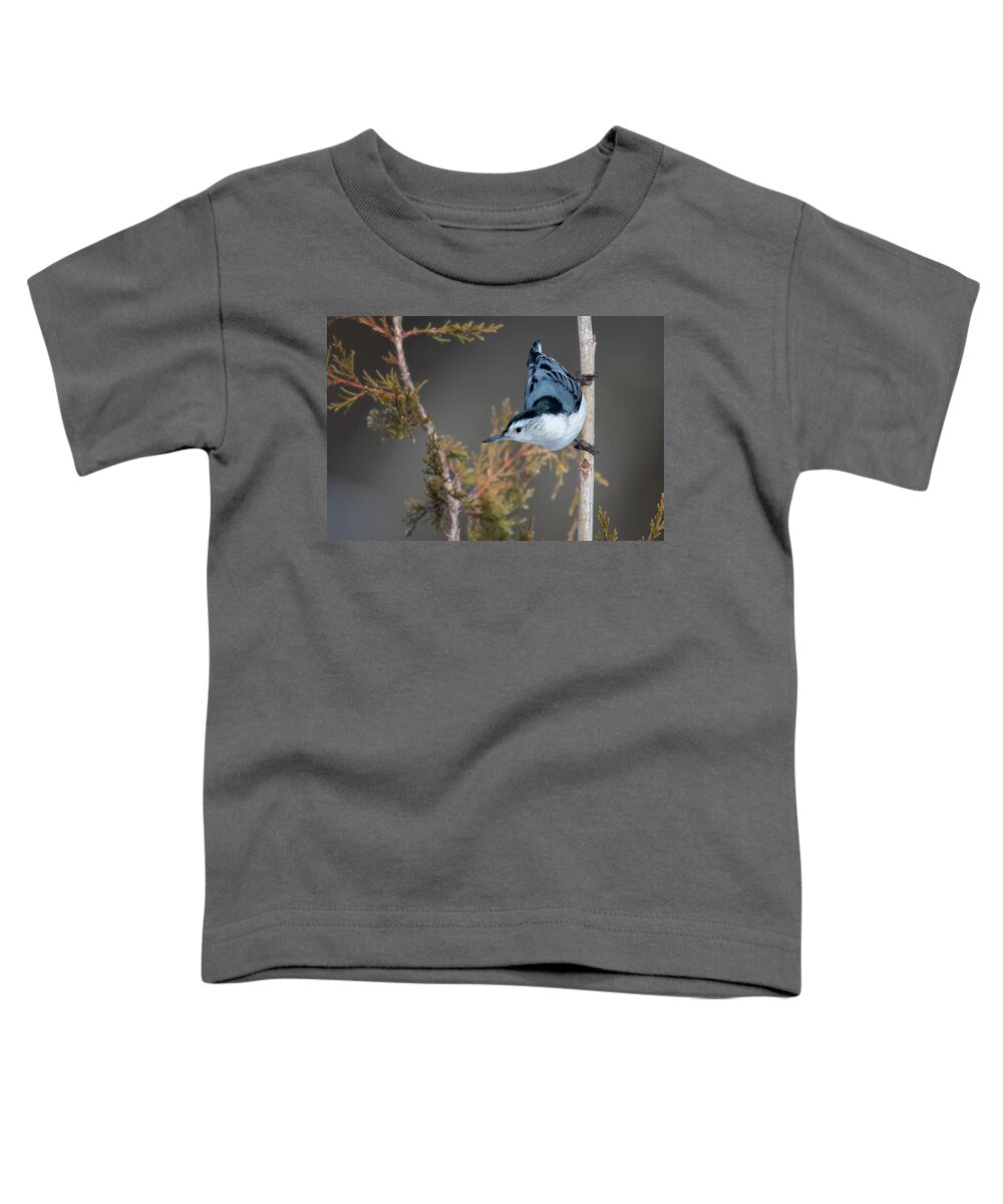 Back Yard Birds Toddler T-Shirt featuring the photograph White Breasted Nuthatch by Linda Shannon Morgan