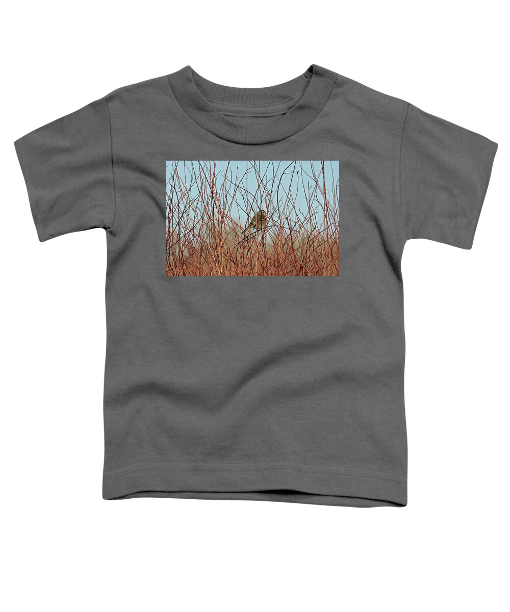 Usa Toddler T-Shirt featuring the photograph White-crowned Sparrow by Jennifer Robin