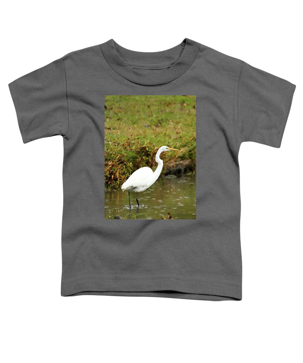 Animal Toddler T-Shirt featuring the photograph White Egret by Lens Art Photography By Larry Trager