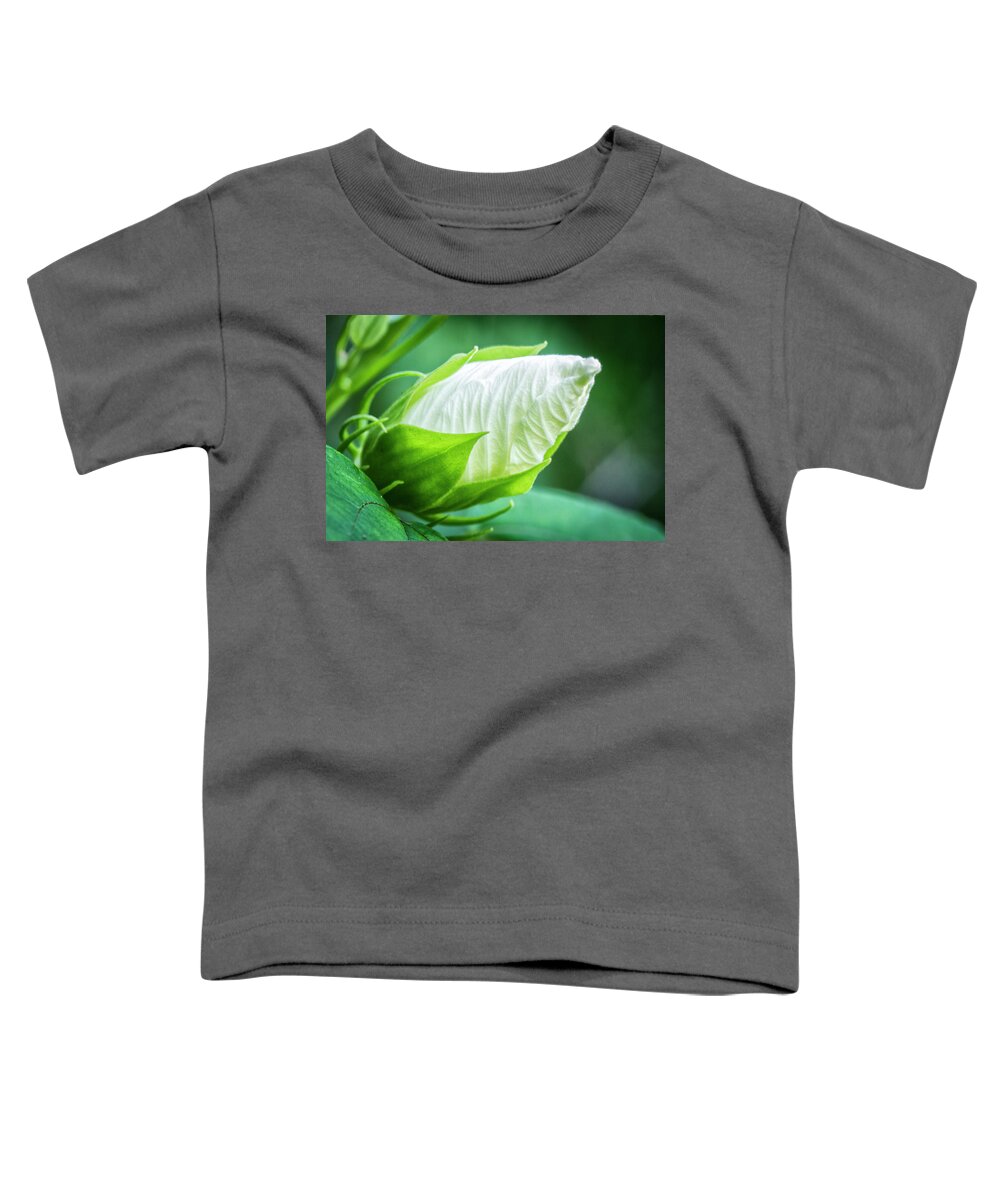 White Hibiscus Bud Toddler T-Shirt featuring the photograph White Hibiscus Bud in the Croatan National Forest by Bob Decker