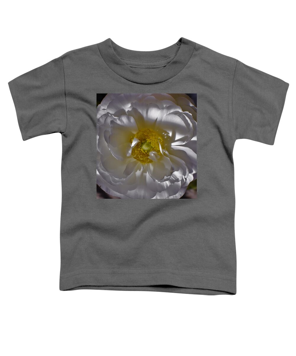 - White Ranunculus 3 Toddler T-Shirt featuring the photograph - White Ranunculus 3 by THERESA Nye