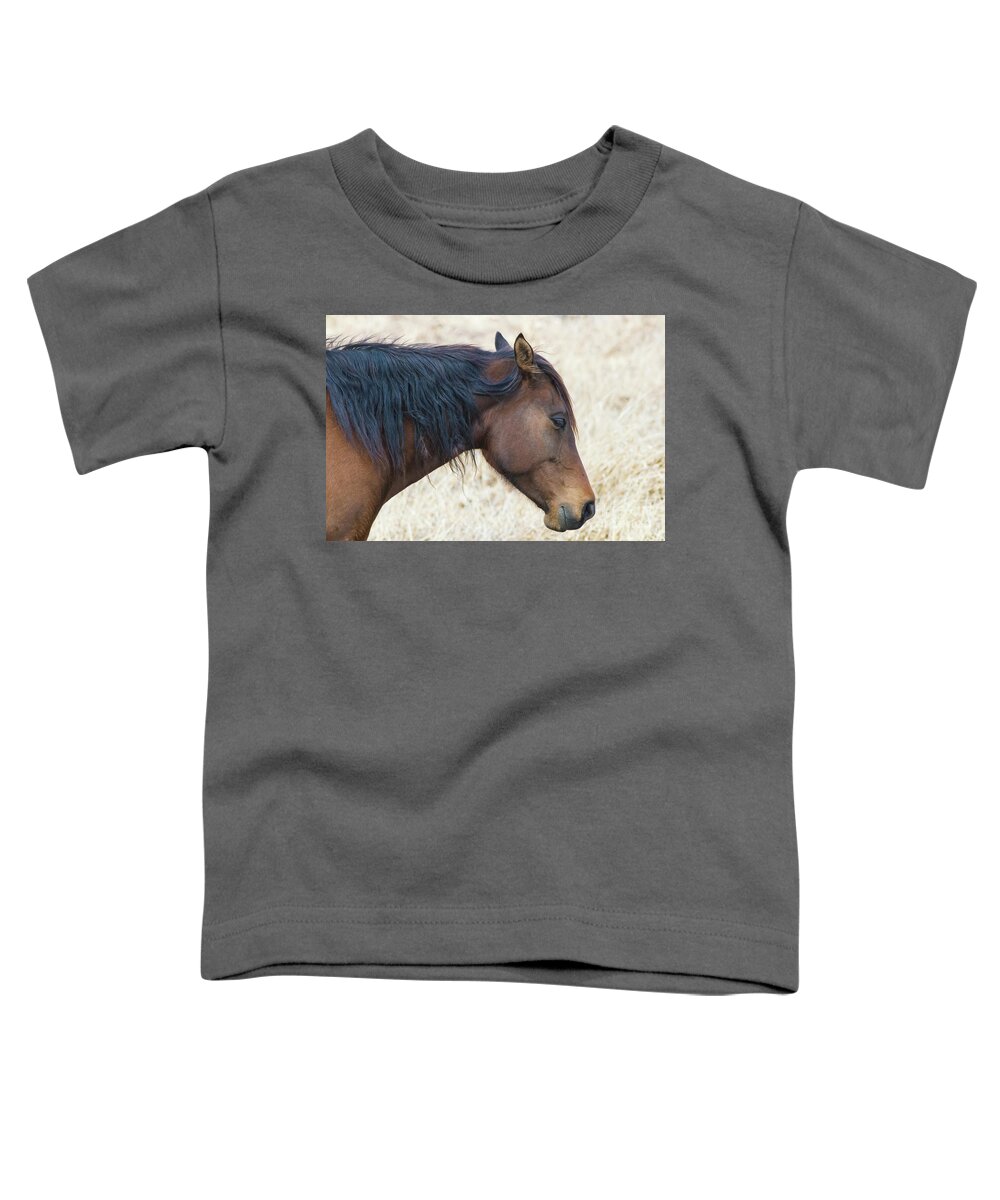 Wild Horse Of Paynes Prairie Preserve State Park Toddler T-Shirt featuring the photograph Wild Horse of Paynes Prairie Preserve State Park, Florida 2 by Felix Lai
