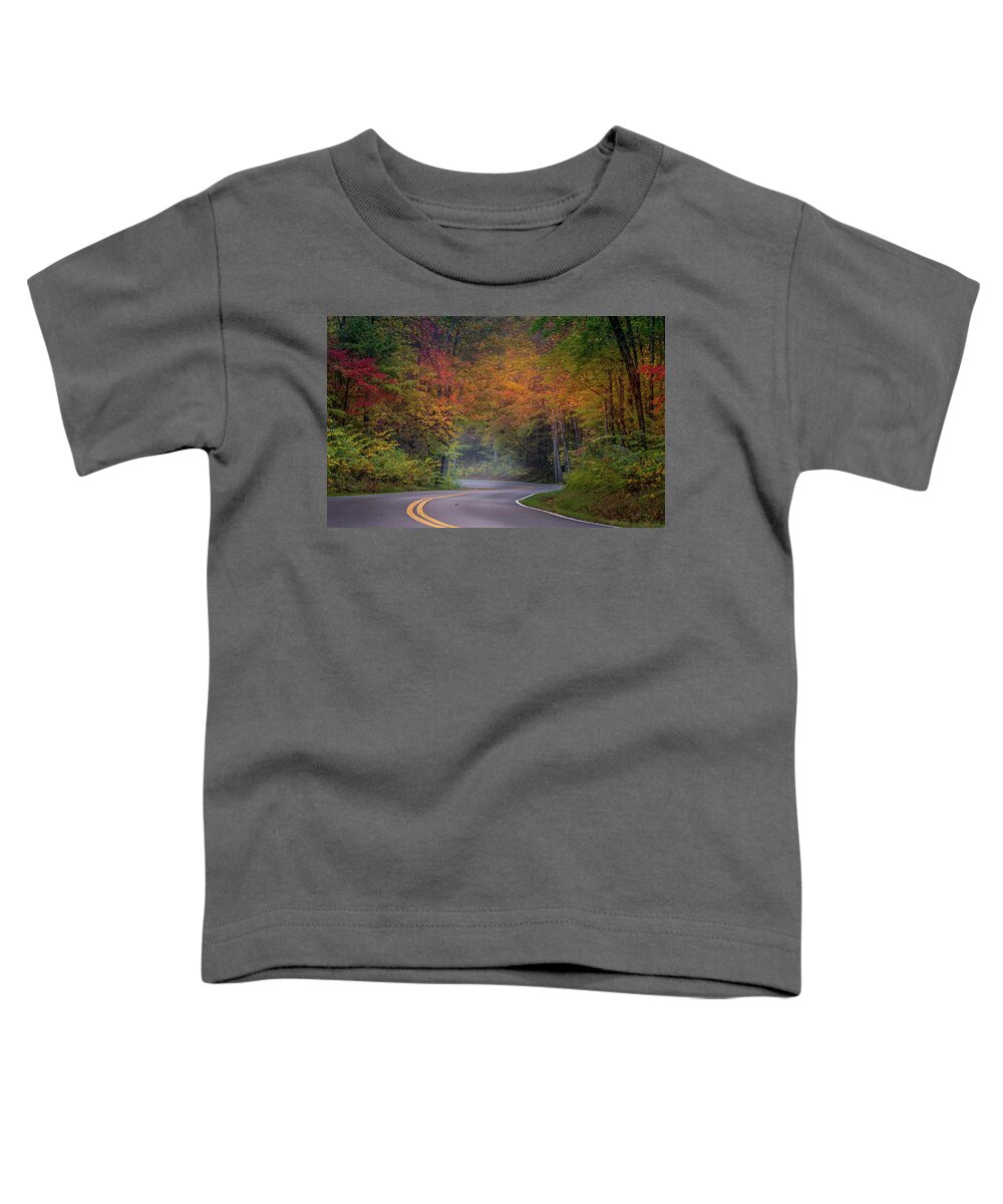 Fall Colors Toddler T-Shirt featuring the photograph Winding Road by Darrell DeRosia