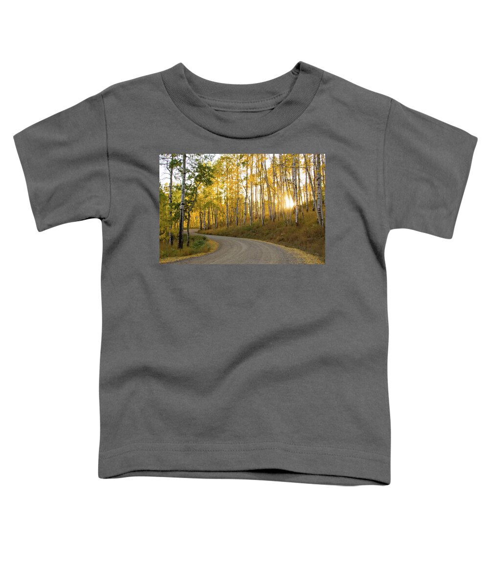 Colorado Toddler T-Shirt featuring the photograph Winding Road by Wesley Aston