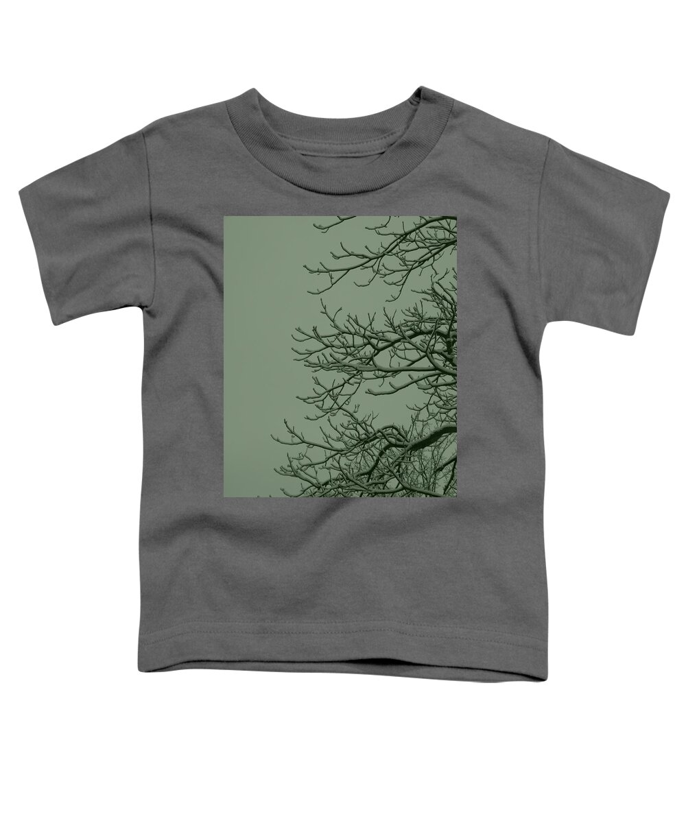 Winter Toddler T-Shirt featuring the photograph Winter 1 by Jeffrey Peterson