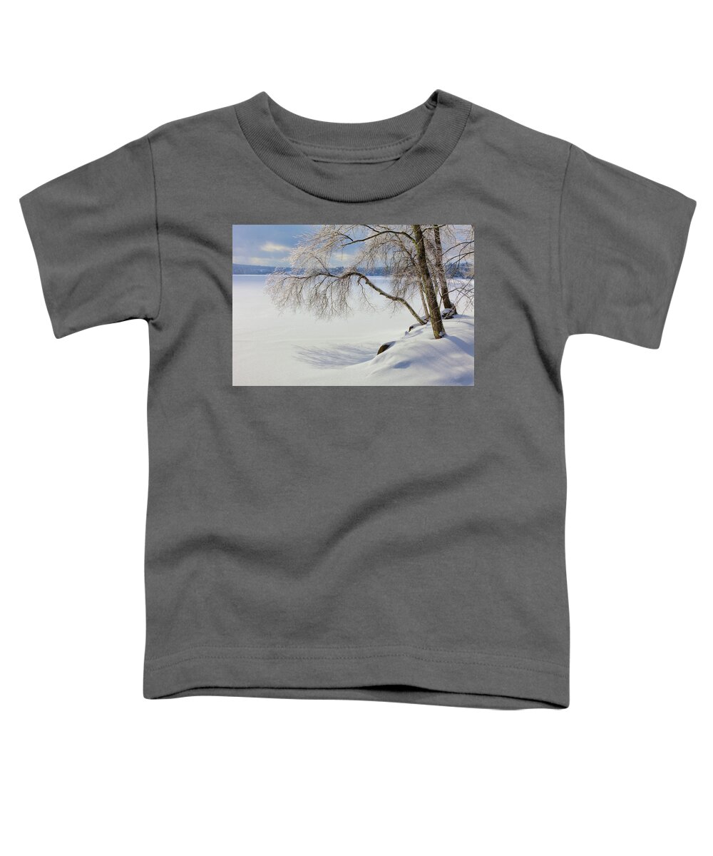 Winter Toddler T-Shirt featuring the photograph Winter 3468 by Greg Hartford