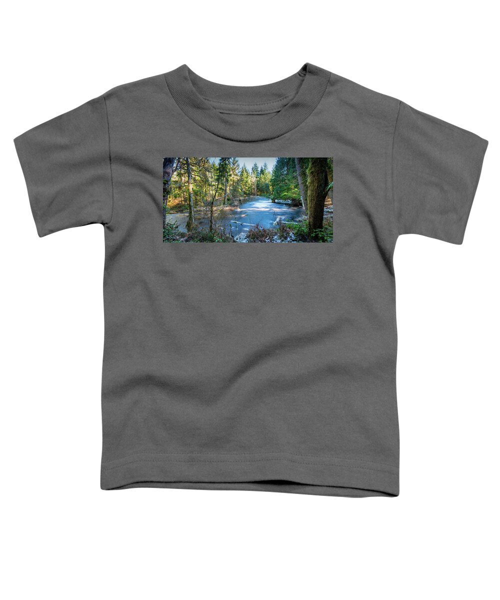 Trees And Forests Toddler T-Shirt featuring the photograph Winter at Silers Mill by Larey McDaniel