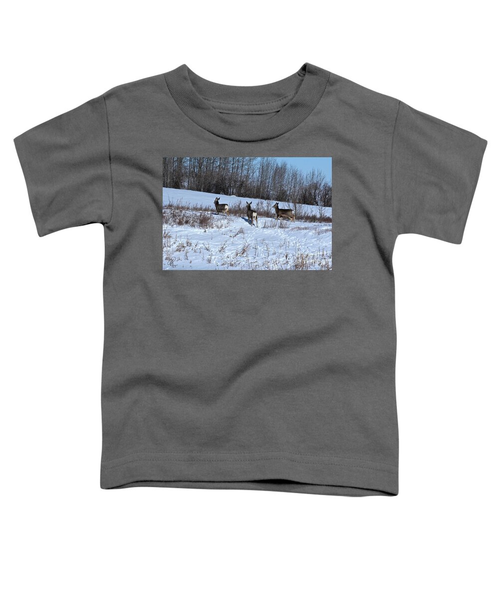 Mule Deer Toddler T-Shirt featuring the photograph Winter Mule Deer by Ann E Robson