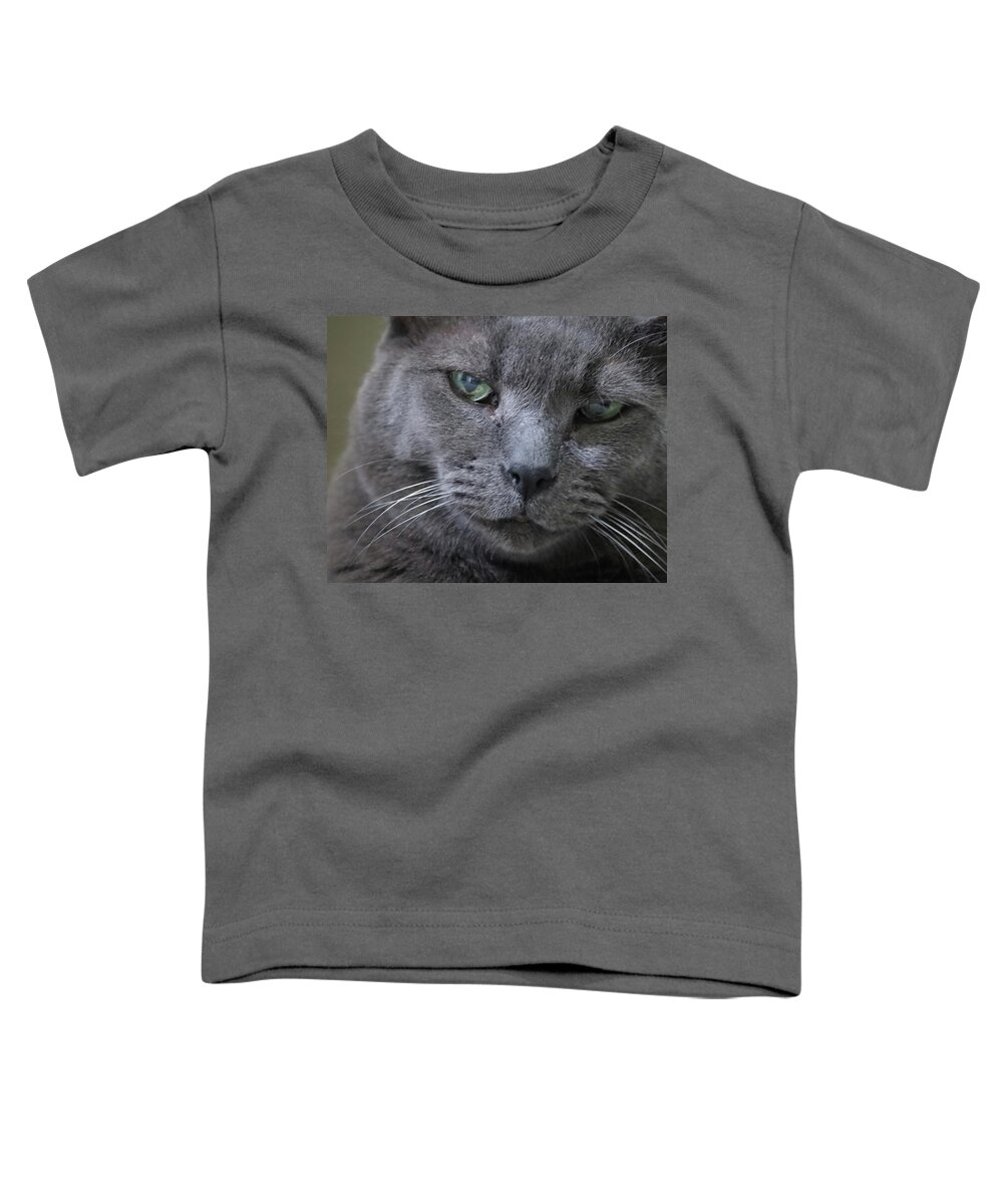 Cat Toddler T-Shirt featuring the photograph Wise Old Cat by M Kathleen Warren