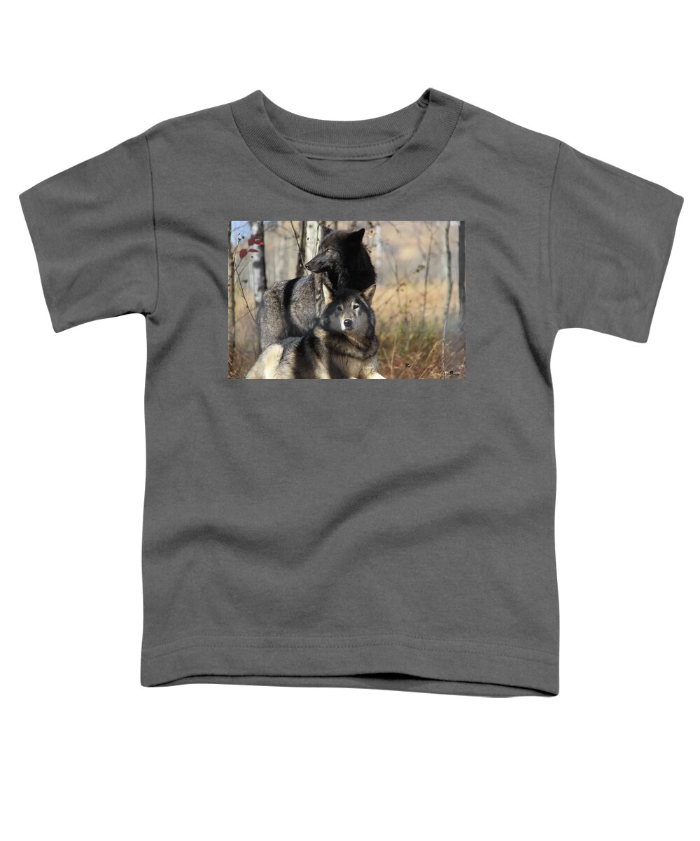 Artforsale Toddler T-Shirt featuring the digital art Wolf Love by Andrea Lawrence