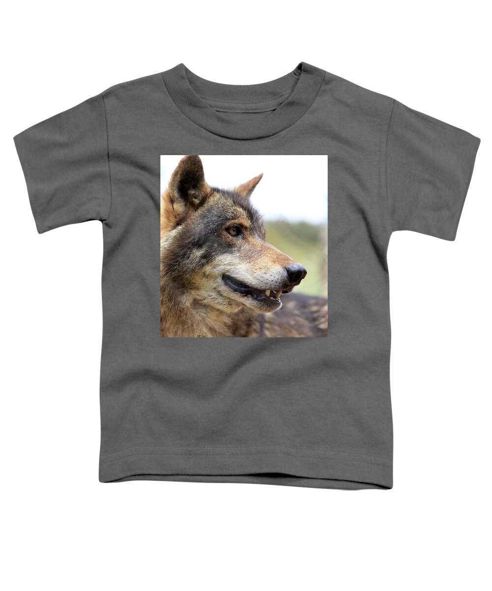 Wolf Toddler T-Shirt featuring the photograph Wolf, portrait by Tony Mills