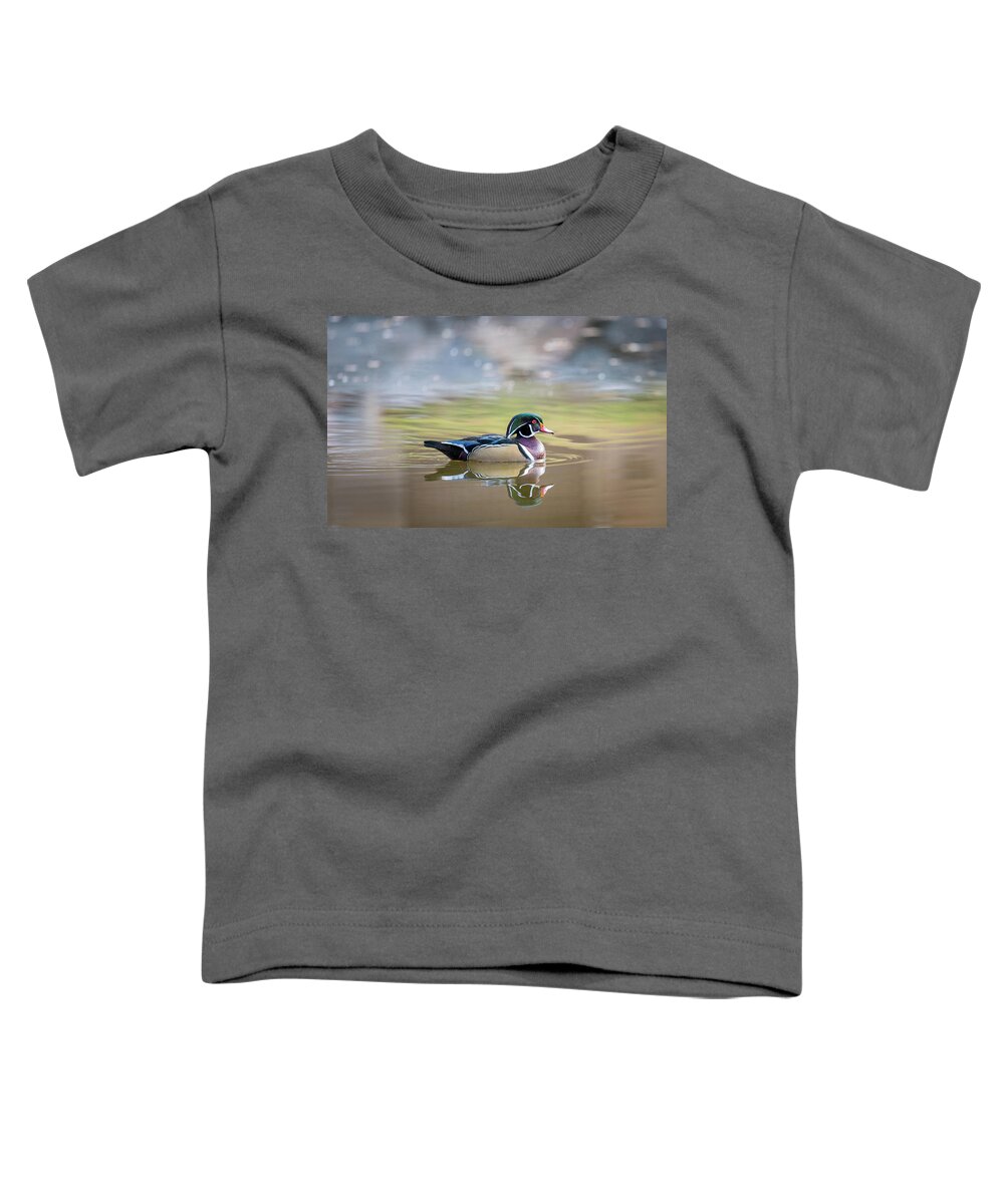 Wood Duck Toddler T-Shirt featuring the photograph Wood duck 1 by Stephen Holst